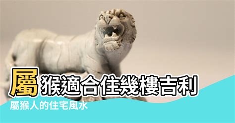 屬猴適合住幾樓|屬猴的人住什麼房子、樓層、方位最吉利？準的離譜！。